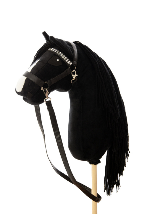 Hobby horse KARY