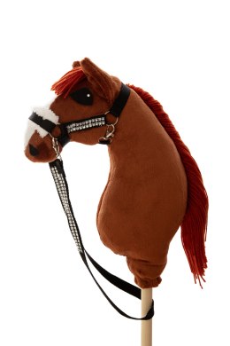 Hobby horse -KASZTANEK - KUCYK