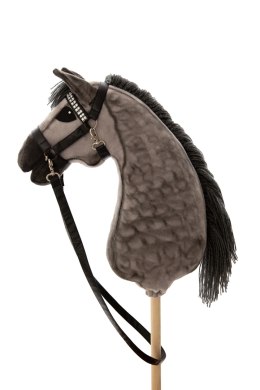 Hobby horse MYSZATY LIMITED A4