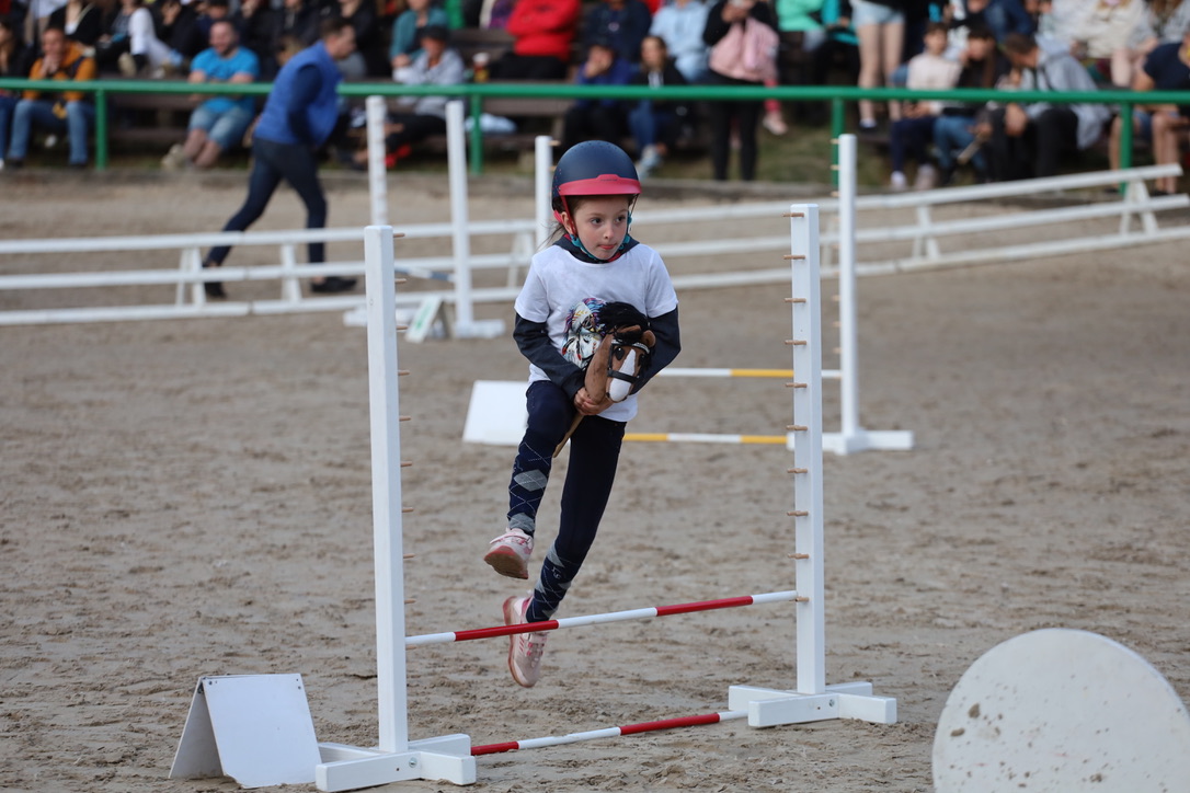 Jak organizować zawody Hobby Horse w domu?